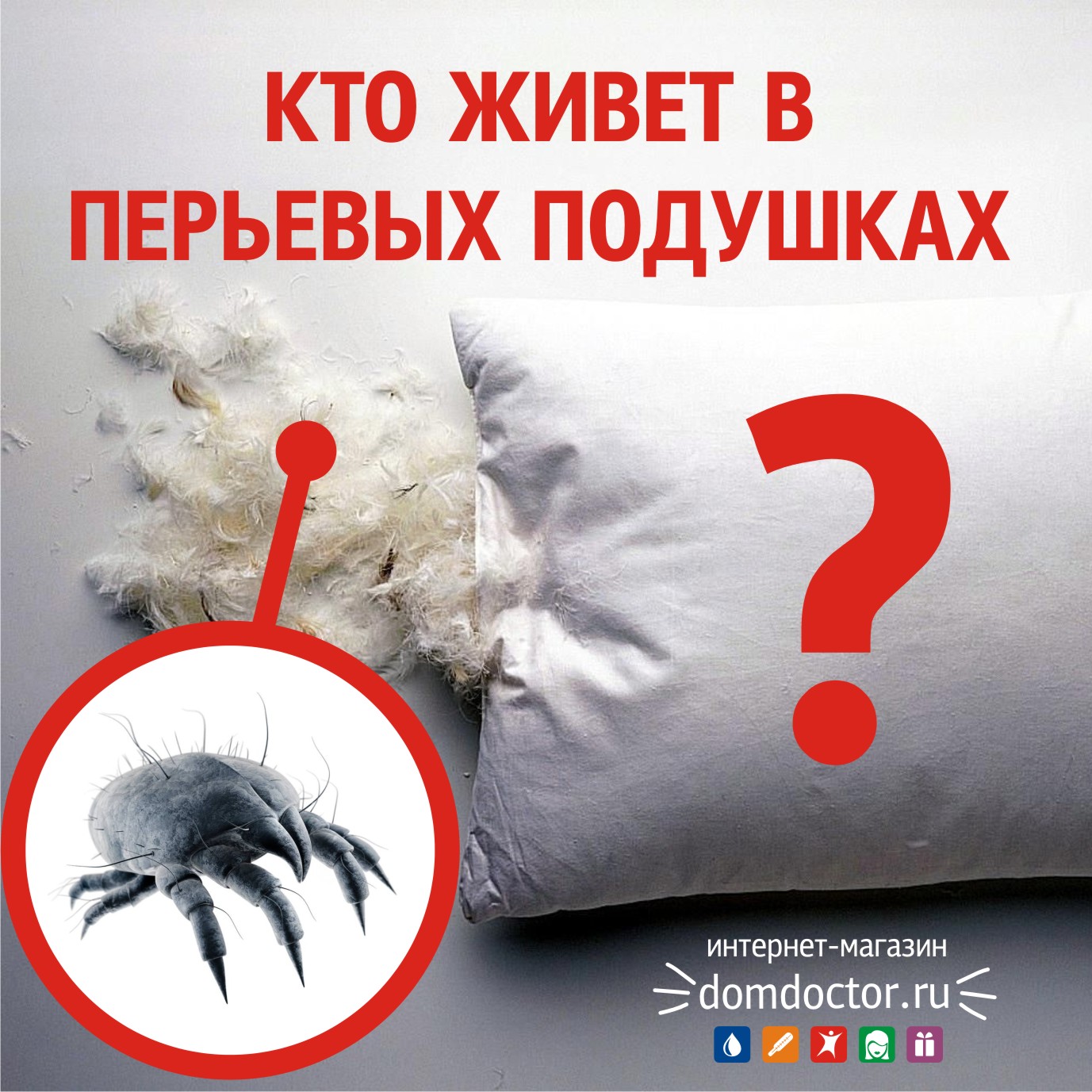 Кто живет в перьевых подушках?